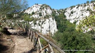 stello marchesa di Cassibile-10-02-2015 19-56-15